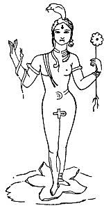 Cover for The Masculine Cross and Ancient Sex Worship