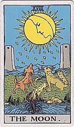 Cover for Fortune-Telling by Cards